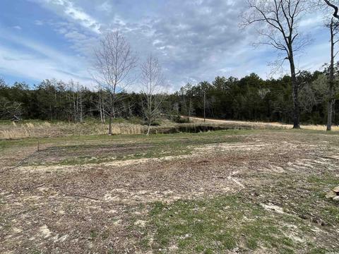 41 Oak Tree Ln, Melbourne, AR 72556 photo 22