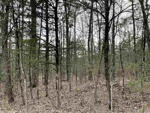 41 Oak Tree Ln, Melbourne, AR 72556 photo 21