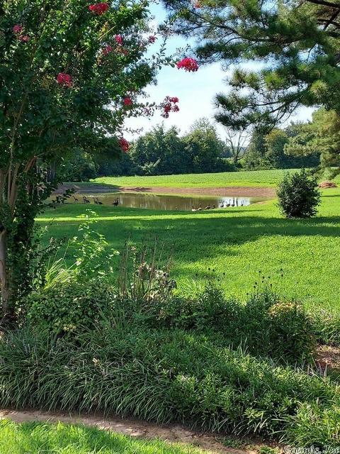897 Gr 415 Rd, Rector, AR 72461 photo 22