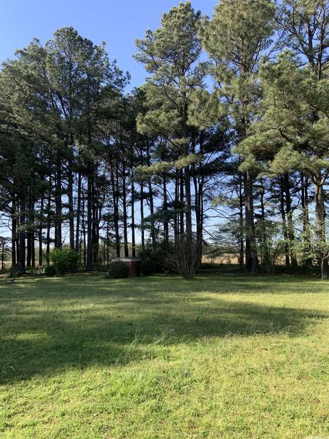 897 Gr 415 Rd, Rector, AR 72461 photo 29