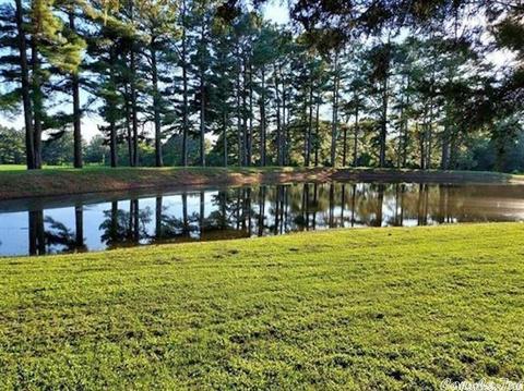 897 Gr 415 Rd, Rector, AR 72461 photo 3