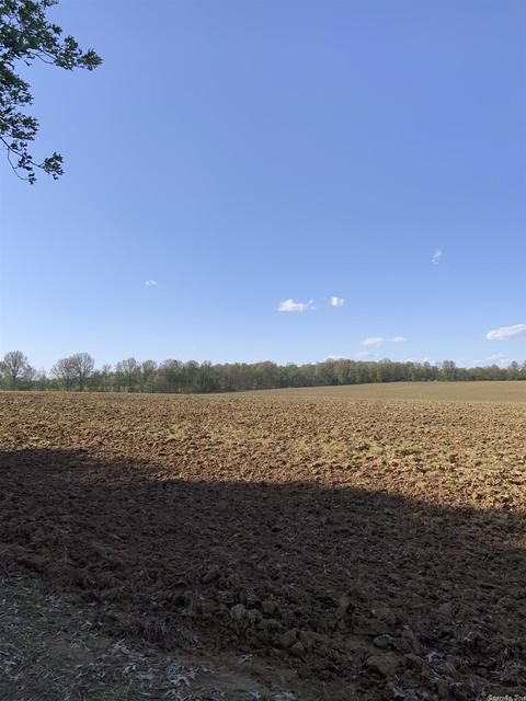 897 Gr 415 Rd, Rector, AR 72461 photo 28