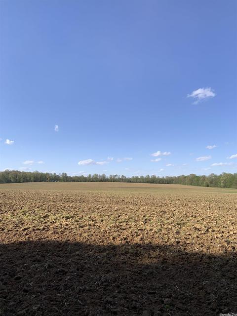 897 Gr 415 Rd, Rector, AR 72461 photo 27