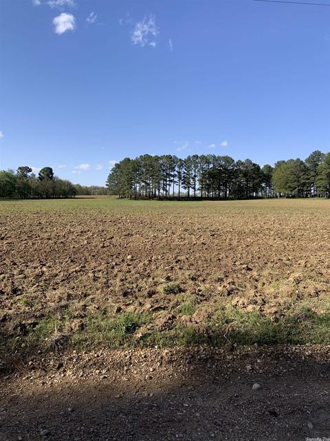 897 Gr 415 Rd, Rector, AR 72461 photo 23