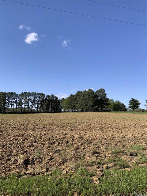 897 Gr 415 Rd, Rector, AR 72461 photo 24