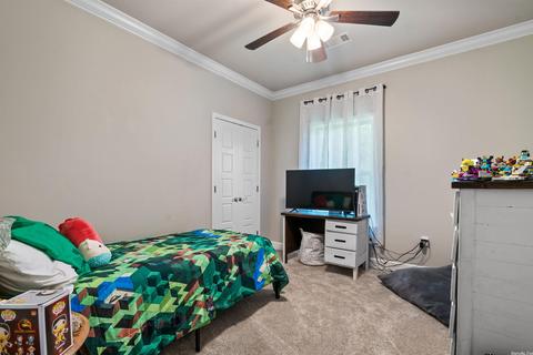 353 Reuben Dr, Alexander, AR 72002 photo 31