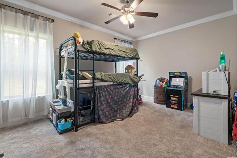 353 Reuben Dr, Alexander, AR 72002 photo 34