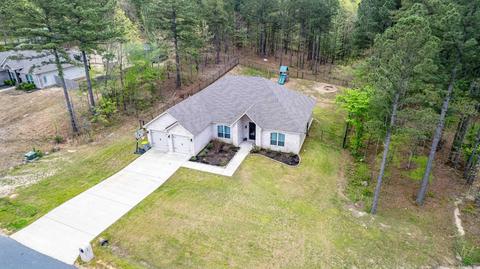 353 Reuben Dr, Alexander, AR 72002 photo 38