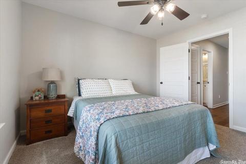 6076 Meridian Dr, Alexander, AR 72002 photo 24