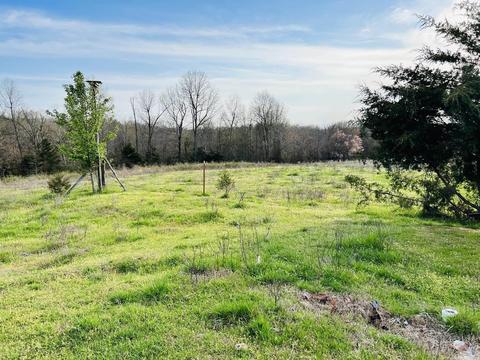 3152 E Main St, Melbourne, AR 72556 photo 22