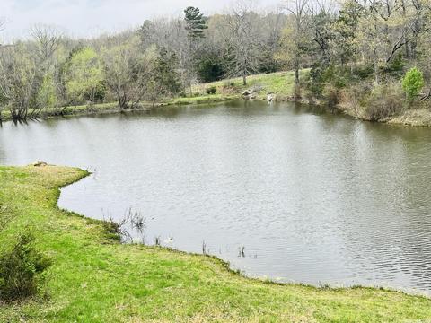 3152 E Main St, Melbourne, AR 72556 photo 10