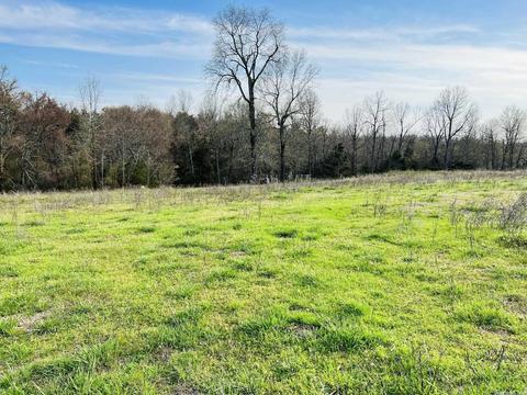 3152 E Main St, Melbourne, AR 72556 photo 20