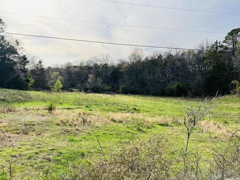 3152 E Main St, Melbourne, AR 72556 photo 25