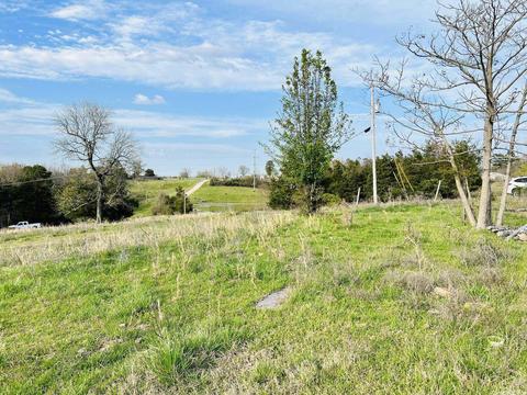 3152 E Main St, Melbourne, AR 72556 photo 28