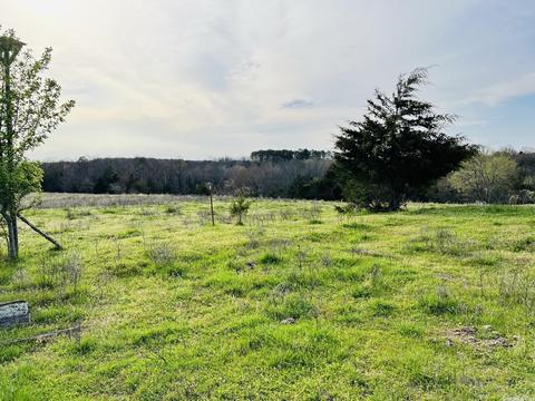 3152 E Main St, Melbourne, AR 72556 photo 21