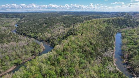 tbd Cedar Bluff Rd, Gillham, AR 71841 photo 5