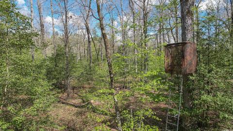 tbd Cedar Bluff Rd, Gillham, AR 71841 photo 39