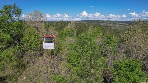 tbd Cedar Bluff Rd, Gillham, AR 71841 photo 32