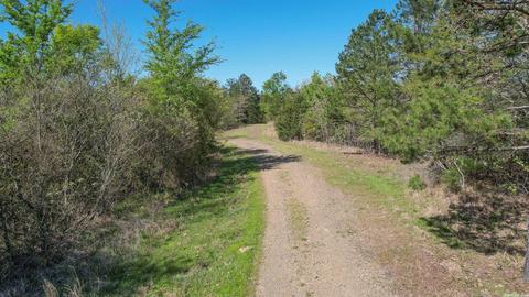 tbd Cedar Bluff Rd, Gillham, AR 71841 photo 35