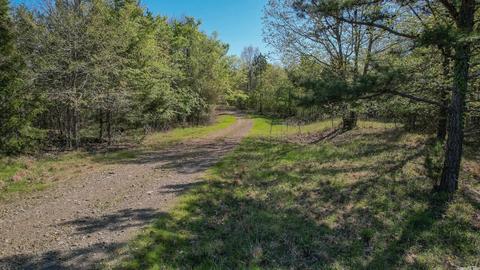 tbd Cedar Bluff Rd, Gillham, AR 71841 photo 37