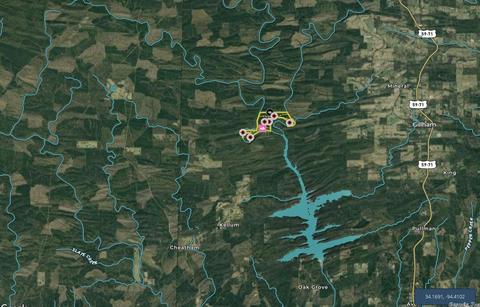tbd Cedar Bluff Rd, Gillham, AR 71841 photo 45