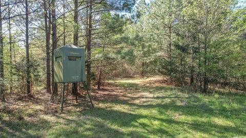 tbd Cedar Bluff Rd, Gillham, AR 71841 photo 31