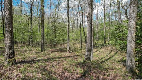 tbd Cedar Bluff Rd, Gillham, AR 71841 photo 40