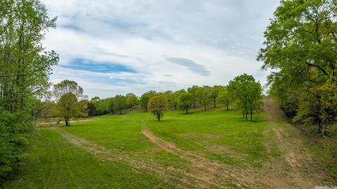 116 Brannon Rd, Greenbrier, AR 72058 photo 3