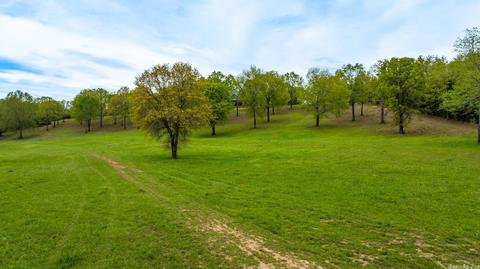 116 Brannon Rd, Greenbrier, AR 72058 photo 8