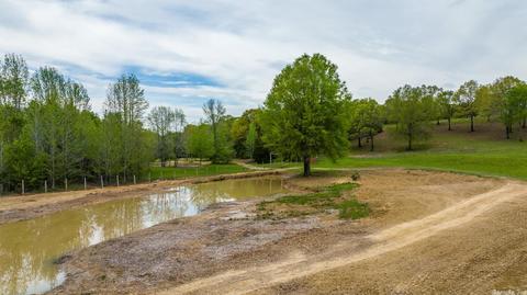 116 Brannon Rd, Greenbrier, AR 72058 photo 4