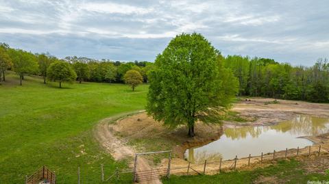 116 Brannon Rd, Greenbrier, AR 72058 photo 5