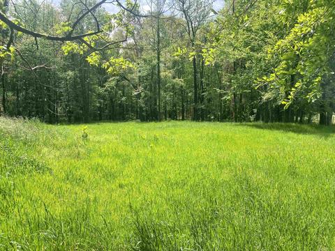1930 Highway 70 E, De Queen, AR 71832 photo 25