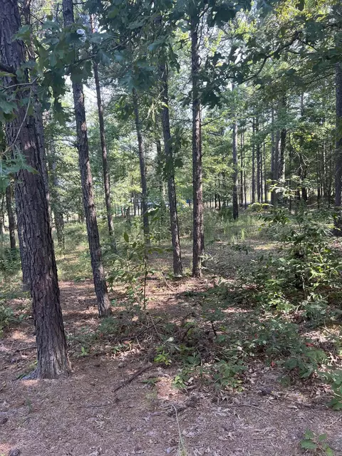 473 Pine Timber Ln, Damascus, AR 72039 photo 42
