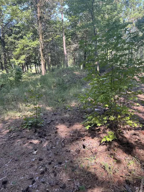 473 Pine Timber Ln, Damascus, AR 72039 photo 36