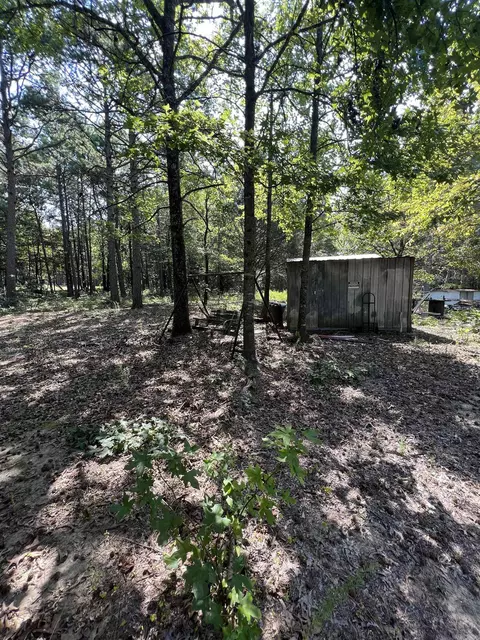 473 Pine Timber Ln, Damascus, AR 72039 photo 30