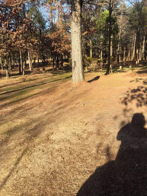 473 Pine Timber Ln, Damascus, AR 72039 photo 22