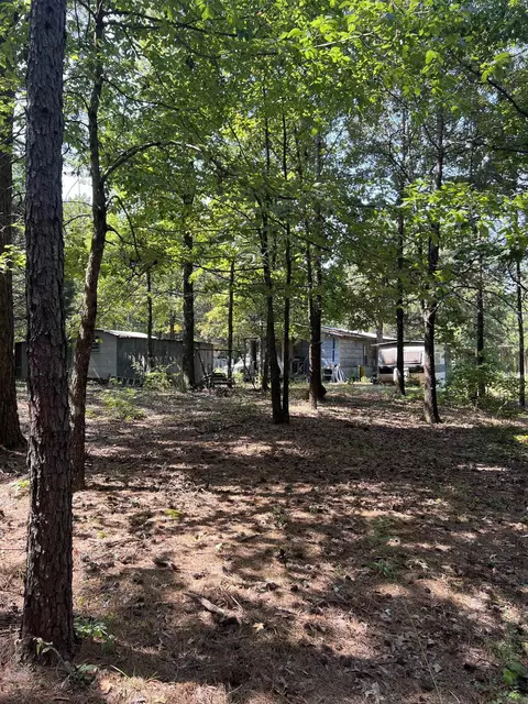 473 Pine Timber Ln, Damascus, AR 72039 photo 28