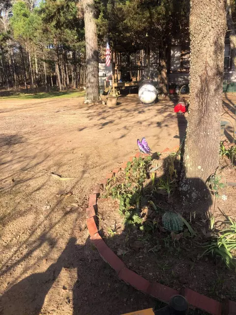 473 Pine Timber Ln, Damascus, AR 72039 photo 19