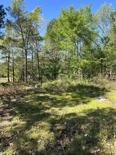 473 Pine Timber Ln, Damascus, AR 72039 photo 4