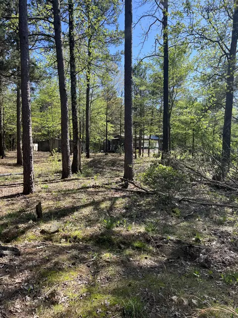 473 Pine Timber Ln, Damascus, AR 72039 photo 26