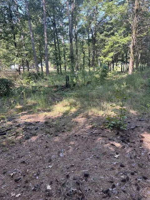 473 Pine Timber Ln, Damascus, AR 72039 photo 37