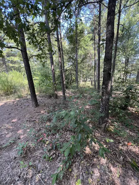 473 Pine Timber Ln, Damascus, AR 72039 photo 29