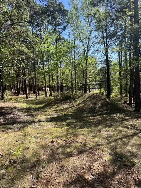 473 Pine Timber Ln, Damascus, AR 72039 photo 27