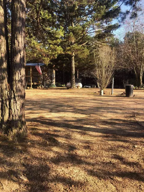 473 Pine Timber Ln, Damascus, AR 72039 photo 23