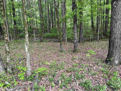 10300 Highway 79 S, Pine Bluff, AR 71603 photo 7