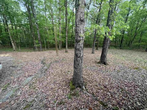 10300 Highway 79 S, Pine Bluff, AR 71603 photo 6