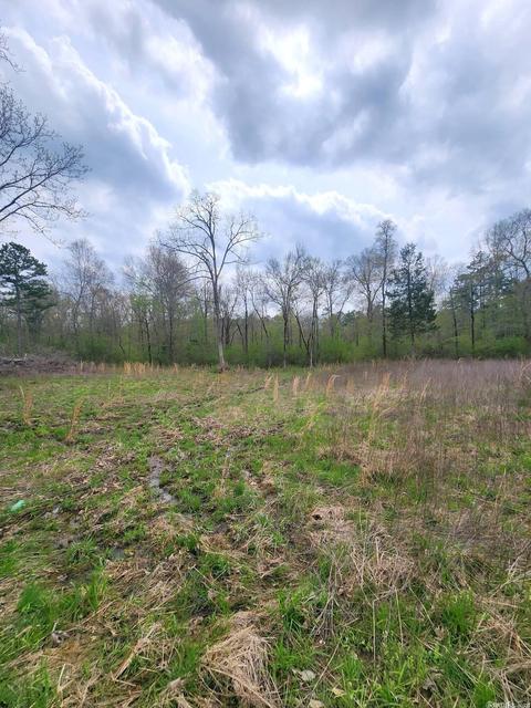 2722 Highway 88 E, Mena, AR 71953 photo 42
