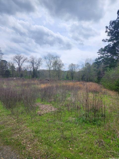 2722 Highway 88 E, Mena, AR 71953 photo 30