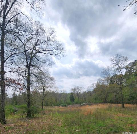 2722 Highway 88 E, Mena, AR 71953 photo 48