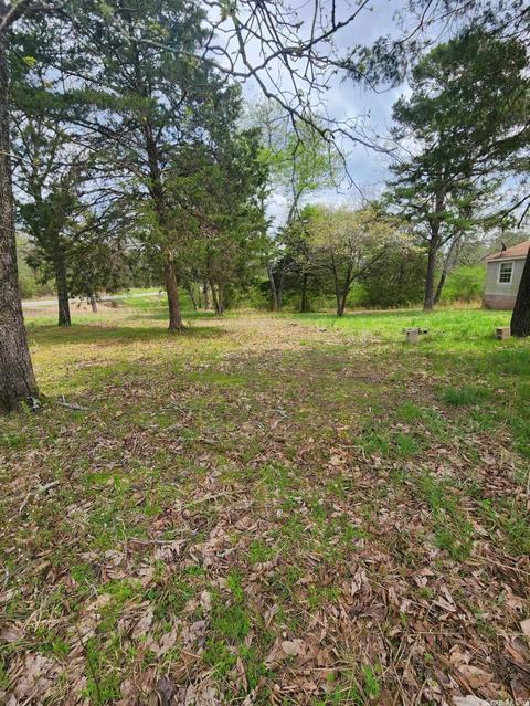 2722 Highway 88 E, Mena, AR 71953 photo 3